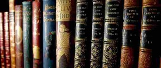 NOVEL BOOKS
